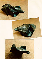 Metamorphosis (other views) S108