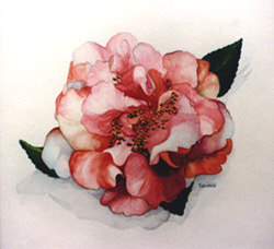 Charlene Variagated - 117