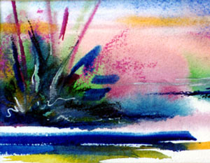 Cat Tail Bay