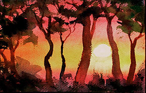 Setting Sun 324