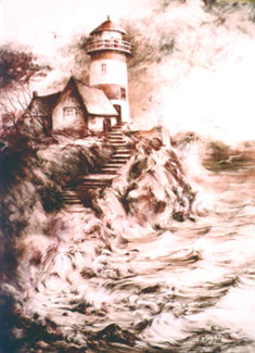 Gull Point 270
