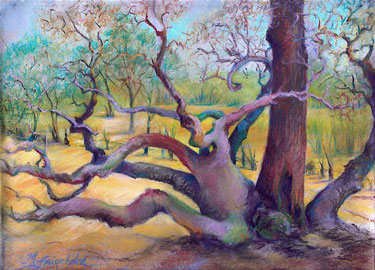 The Climbing Tree 387 