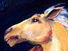 Detail Combat 391