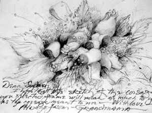418 A Corsage for Sydney! - detail