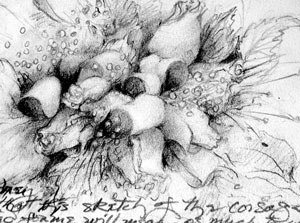 418 A Corsage for Sydney! - detail 2