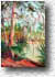 Sea Pines 246