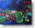 Beneath the Lily Pads 282