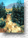 Mountain Retreat 338
