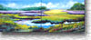 Marshlands of Sea Pines 353