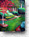 Garden Path 359