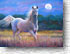 Moonlight Mare 364