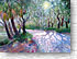 Calibogue Shadow Play 381