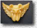 S124 Gargoyle
