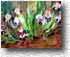 Purple Passions 281